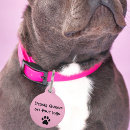 Recherche de reine de drame Rose