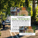 Suche nach pet sitting flyer Dog walker