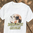 Recherche de écorce Cool