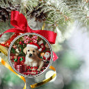 Recherche de labrador retriever ornements Chiot