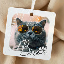 Recherche de le chat ornements Chaton