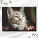Recherche de photos de chat magnets Modèle