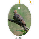 Suche nach trauer ornamente Vogelbeobachtung