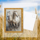 Suche nach weiße pferde postkarten Ranch