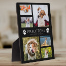 Recherche de animaux plaques Pour elle