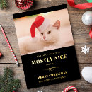 Recherche de de chat noël cartes Félin