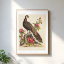 Suche nach vintager pfau poster Natur