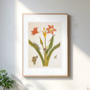 Suche nach blumenillustration poster Hübsch