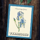 Recherche de iris bleu cartes postales Ressort