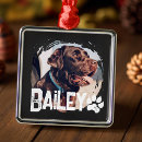 Suche nach coole ornamente Erstelle selbst