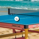 Recherche de mer balles ping pong Océan