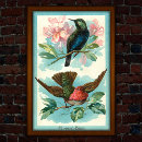 Suche nach vintage kolibris poster Tropisch