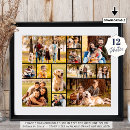 Recherche de animaux portraits Pour tous