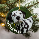 Suche nach moderne katze ornamente Hund