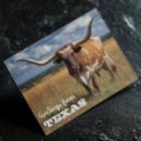Recherche de carte texas cartes postales Longhorn