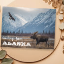 Recherche de les aigles cartes postales Aigle à tête blanche