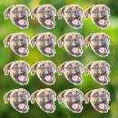 Suche nach kleiner weißer hund aufkleber Dogs