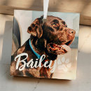 Suche nach coole schmuck Haustier