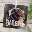 Suche nach cooles ornamente Erstelle selbst
