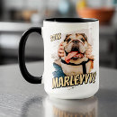 Recherche de chiot de noël tasses Pour tous