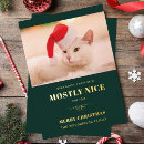 Recherche de de chat noël cartes Félin