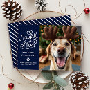 Recherche de chats drôles noël cartes Pour eux