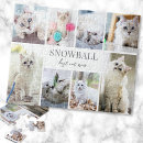 Recherche de vacances de chat Cats