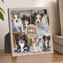 Recherche de empreintes pattes plaques Papa de chien