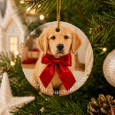 Suche nach golden retriever ornamente Feiertage