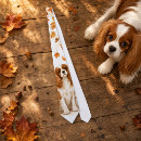 Recherche de cavalier cravates Chiot