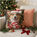 Recherche de corgis coussins Pembroke welsh corgi