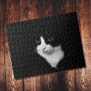 Recherche de chat noir et blanc puzzles Animal de compagnie