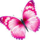 Recherche de butterflies tshirts Papillon