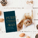 Suche nach lustige weihnachtsbilder Weihnachten