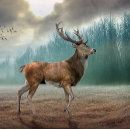 Suche nach dee poster Einsam