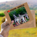 Suche nach südafrika postkarten Tierwelt