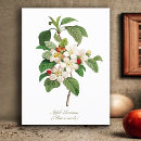 Recherche de floraison cartes postales Nature