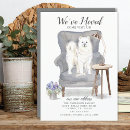Recherche de samoyed Dog
