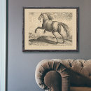 Suche nach engraving poster Horse