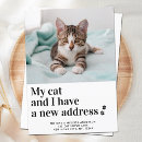 Recherche de chaton drôle invitations Amoureux des chats