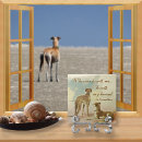 Suche nach mehr… fliesen Hunde