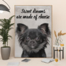 Suche nach lustige chihuahua poster Hunde