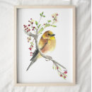 Suche nach kanarienvögel poster Singvogel