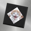 Recherche de diagonal magnets Pour tous