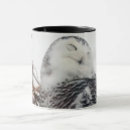 Recherche de hibou neigeux tasses Hiboux