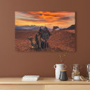 Suche nach bactrian kamel Landschaft