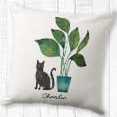 Recherche de plant coussins Moderne