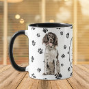 Recherche de espions tasses Animal