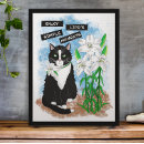 Recherche de chat blanc art Tuxedo