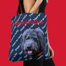 Recherche de chien chanceux Photographie